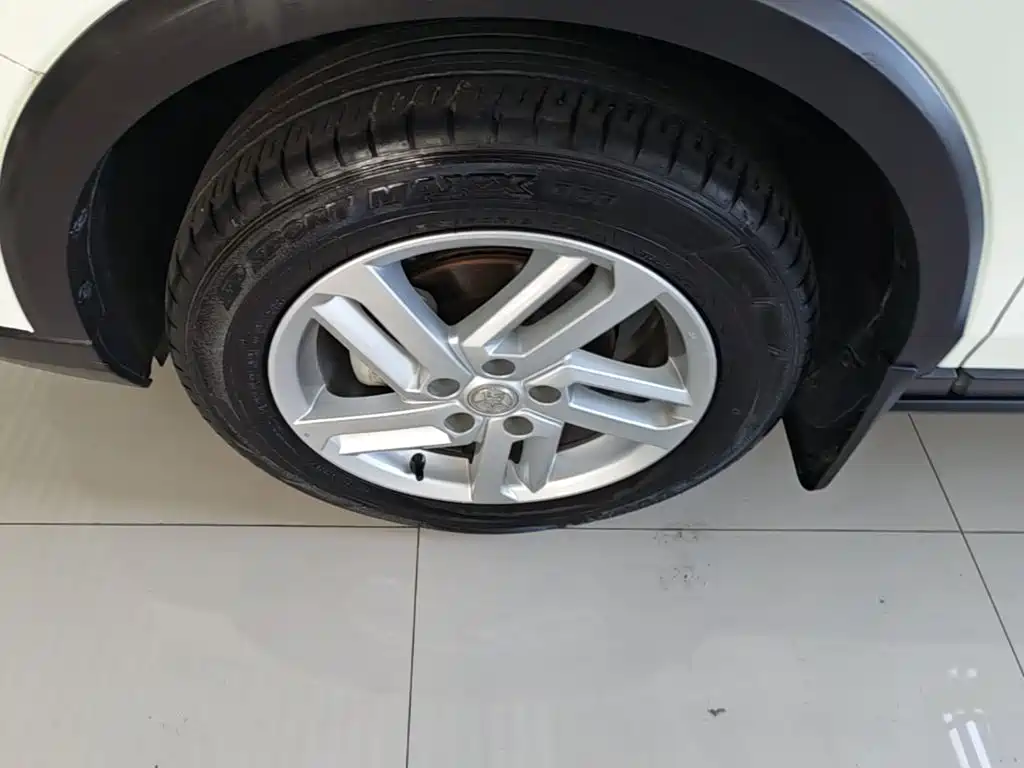 Venucia T60 2022 2020 Model 1.6L CVT Zhixing Edition China VI