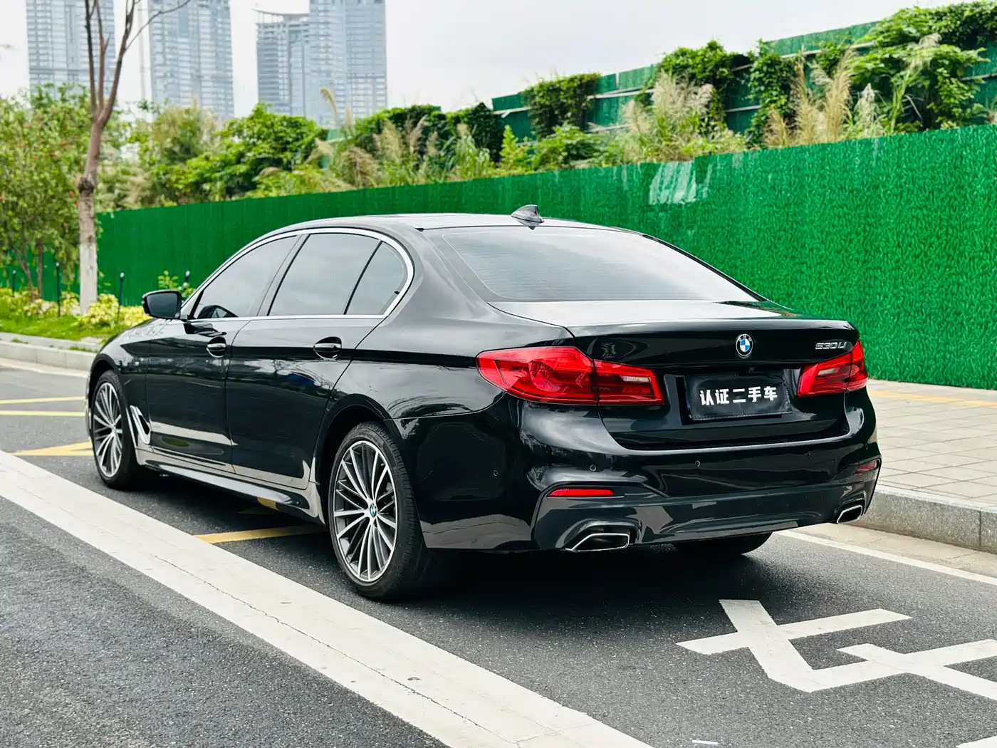 BMW 5 Series 2020 530Li Leading M Sport Package фото 5