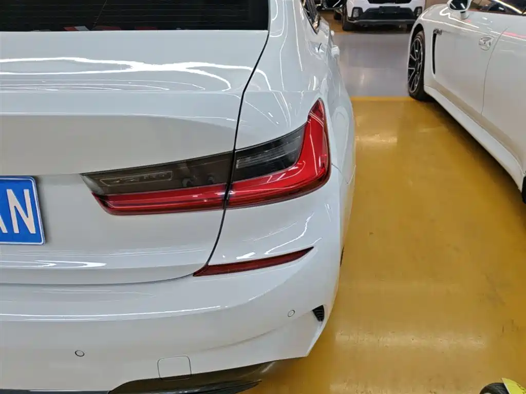 BMW 3 Series 2020 325Li M Sport Black Night Package фото 8