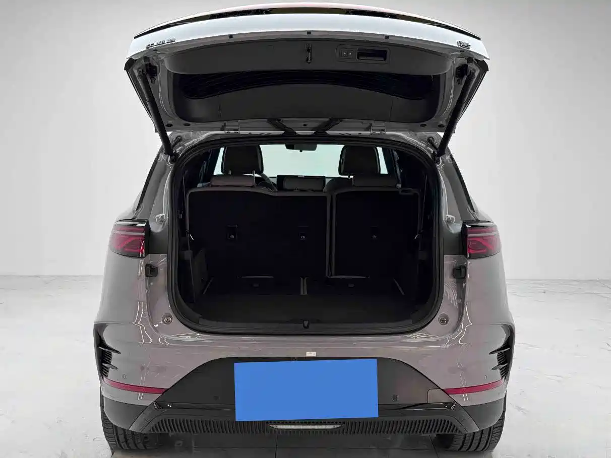 BYD Tang New Energy 2025 2025 Smart Driving Edition DM-i 115KM Premium