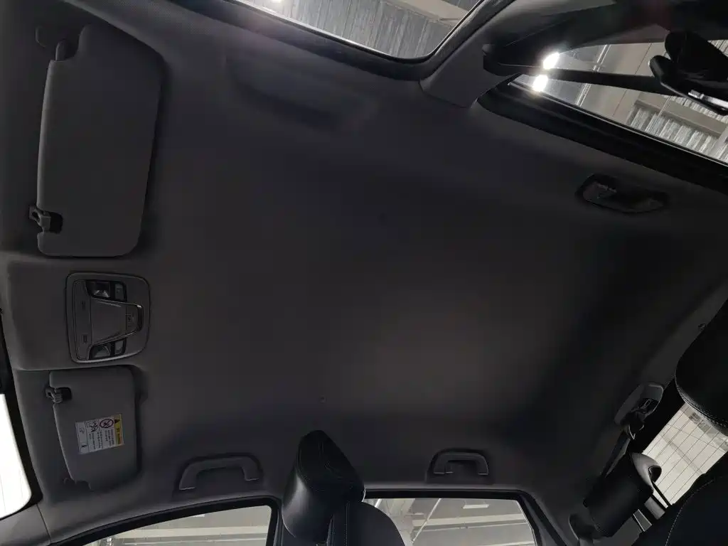Geely Geometry EX3 Kung Fu Bull 2022 2021 Strong Bull