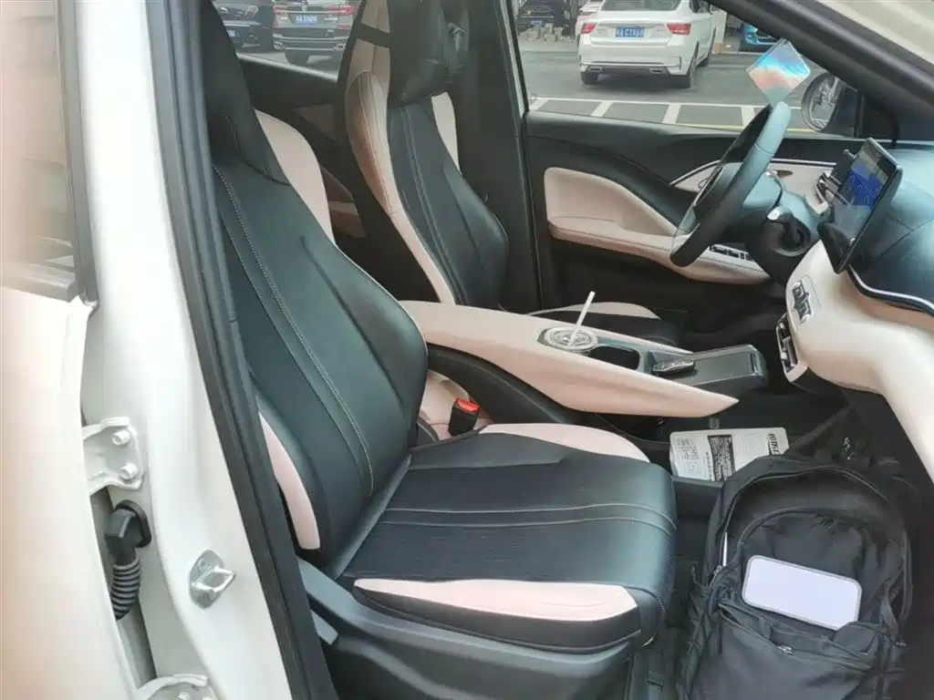 BYD Seagull 2025 Smart Drive Edition 305km Vitality Version фото 25