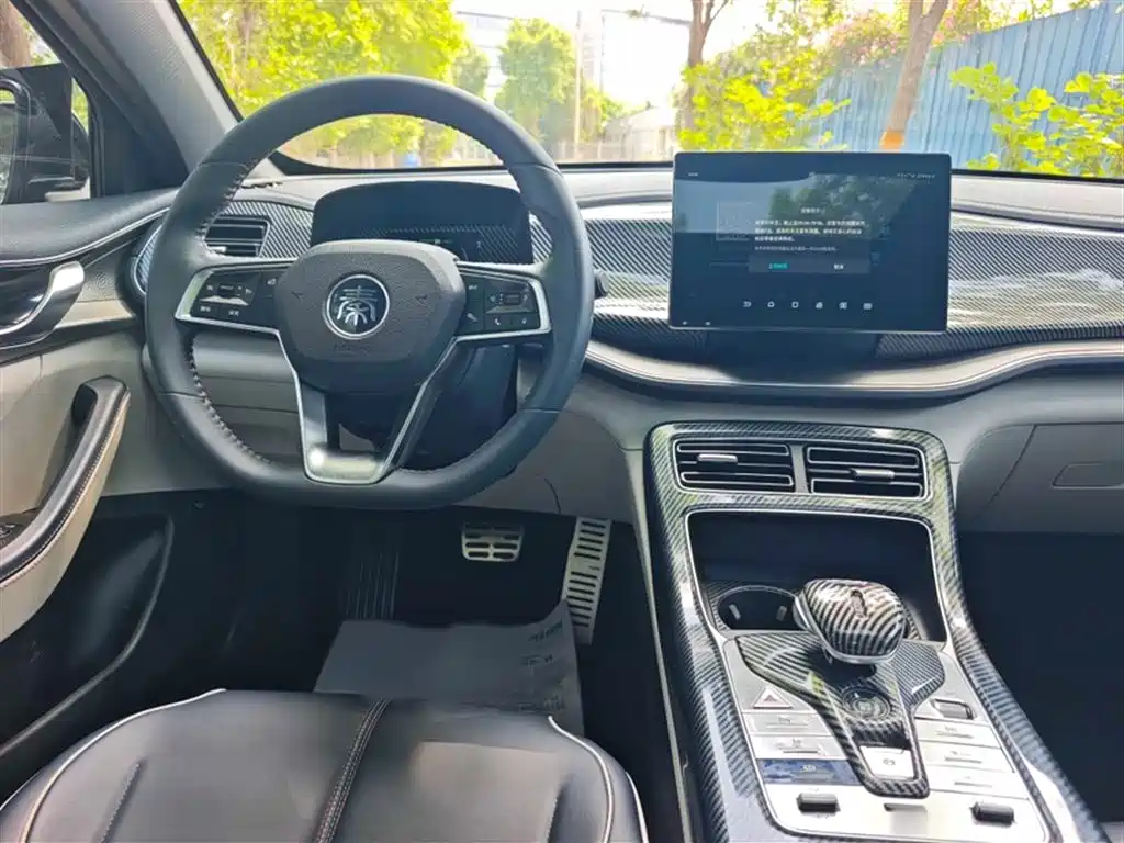 BYD Qin PLUS 2021 DM-i 55KM Flagship фото 7