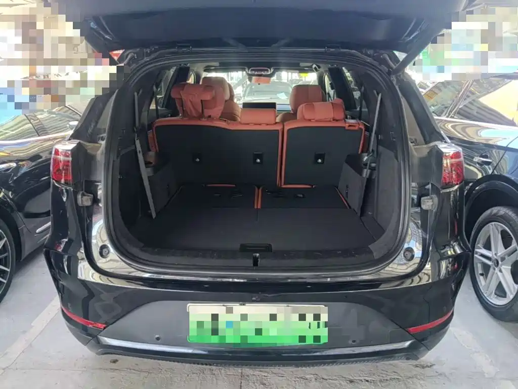 BYD Tang New Energy 2025 2026 Smart Drive Edition DM-i 160KM Premium