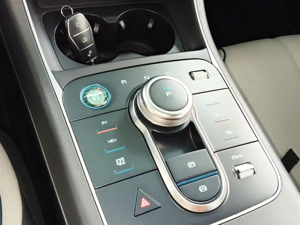 BYD Destroyer 05 2024 Glory Edition DM-i 55KM Luxury фото 14