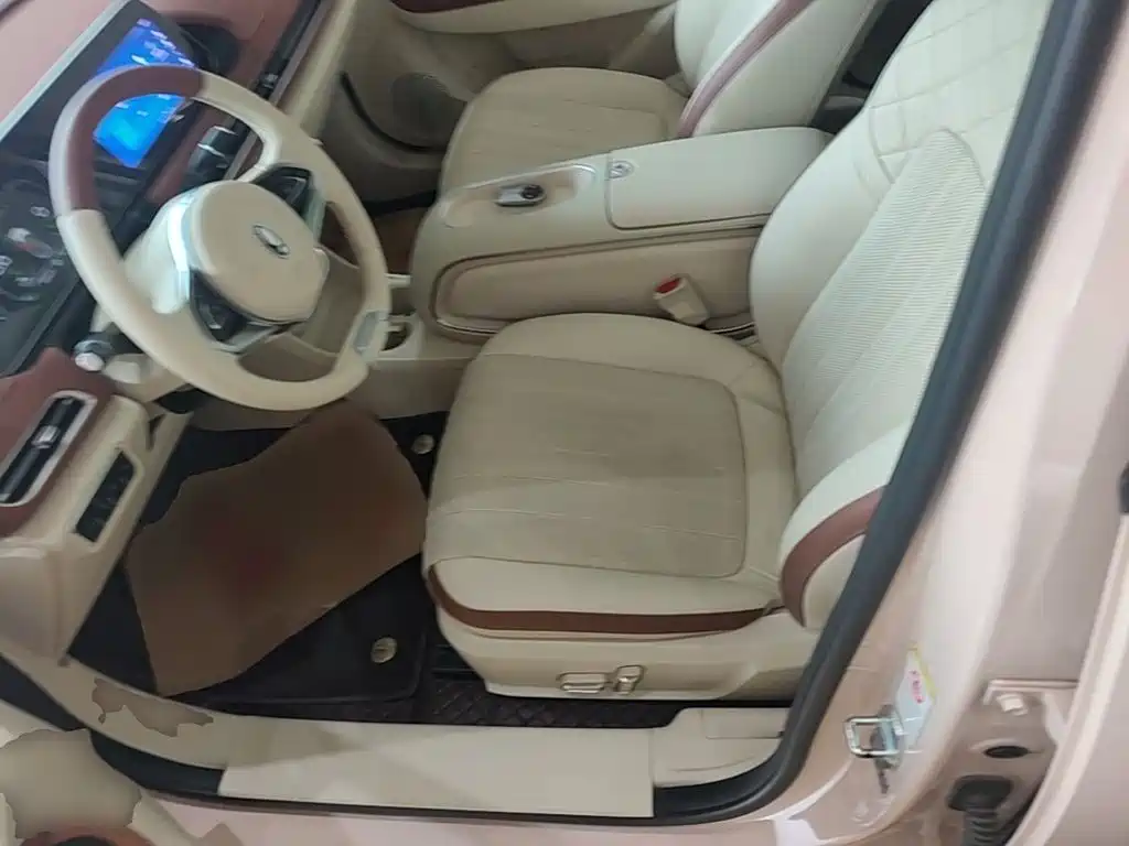 Ora Good Cat GT 2023 2023 Mulan Edition 401km Premium Model