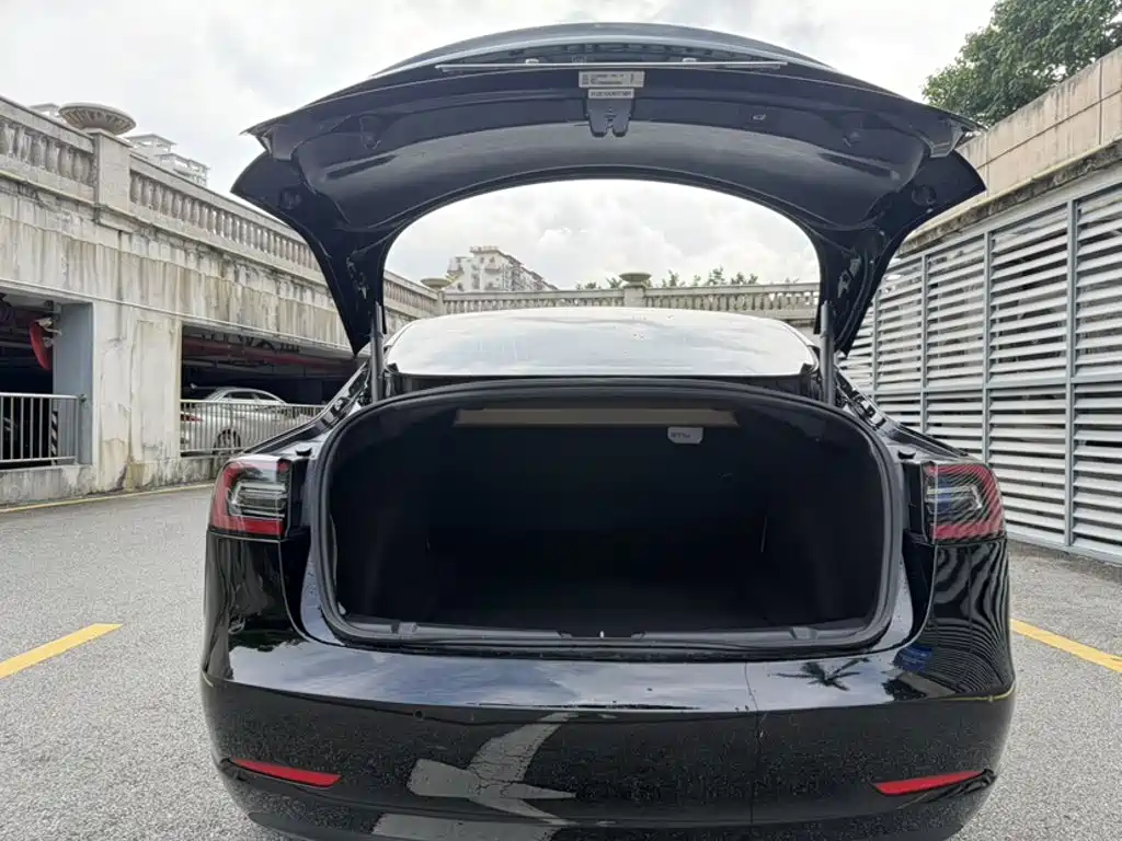 Tesla Model 3 (Import) 2019 2019 Long Range RWD Version