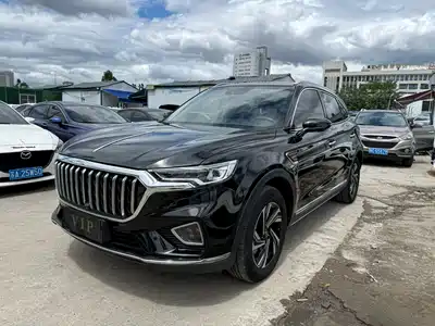 Hongqi HS5
