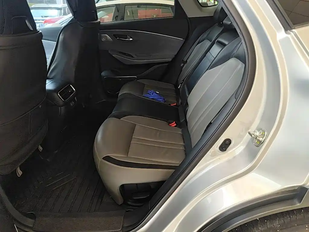 Aion LX 2021 2019 Model 80