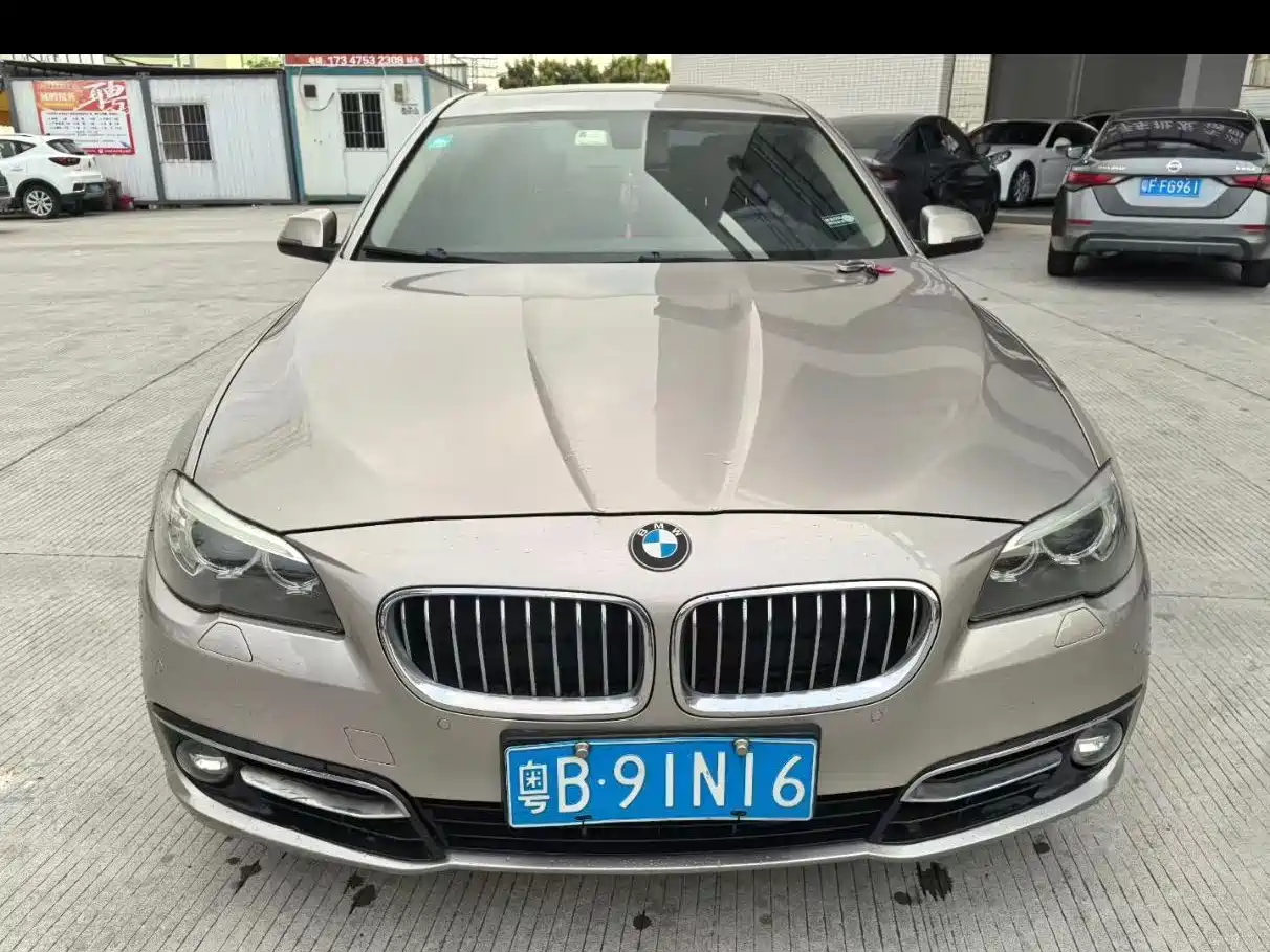 BMW 5 Series 2014 525Li Luxury Design Package фото 7