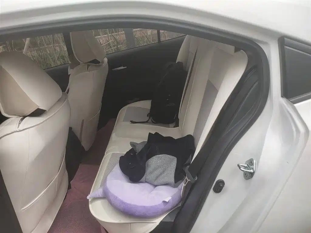 Toyota Corolla 2022 1.2T S-CVT Pioneer PLUS Edition фото 15
