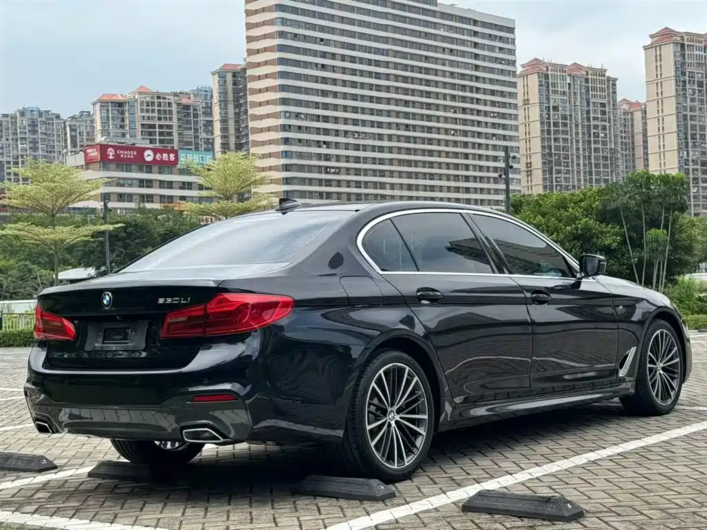 BMW 5 Series 2020 530Li Exclusive M Sport Package фото 7