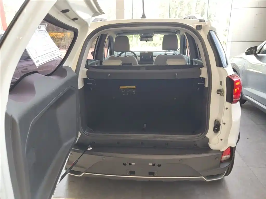 BYD Yuan Pro 2021 401KM Premium Model фото 19