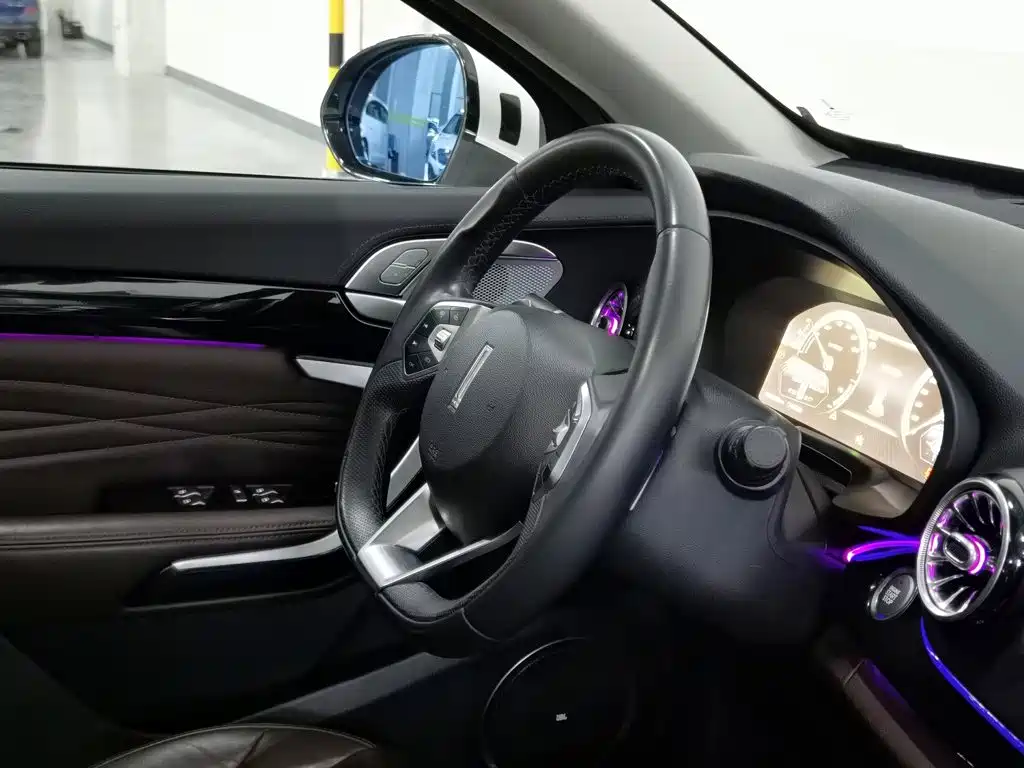 WEY P8 2018 2018 2.0T Flagship Model