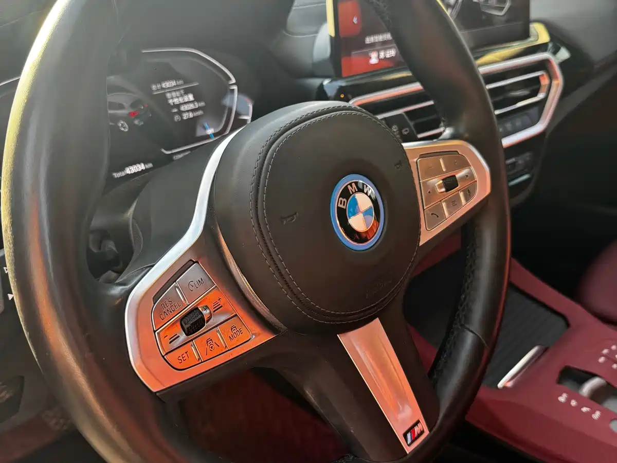 BMW iX3 2024 2023 Leading Type