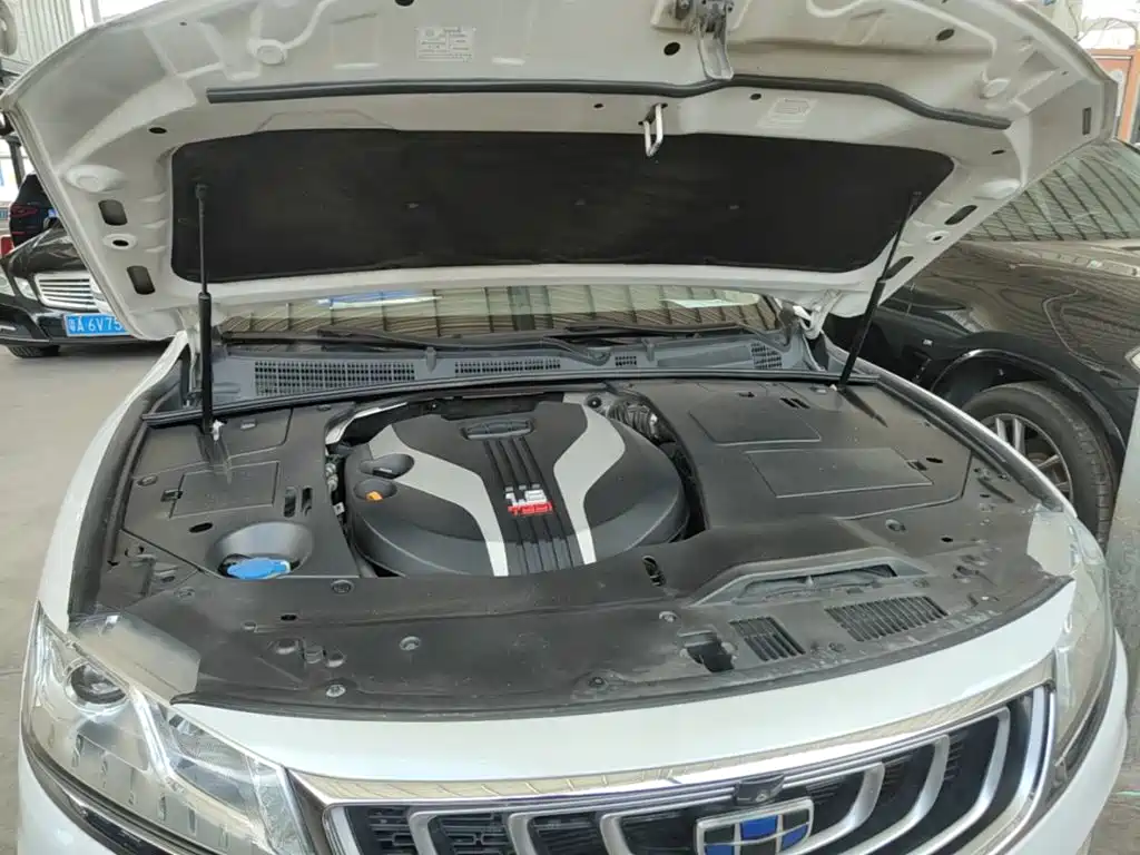 Фото 20 - Geely Borui