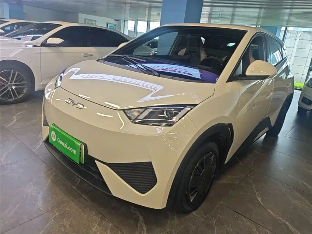BYD Seagull 2025 Smart Drive Edition 305km Vitality Version