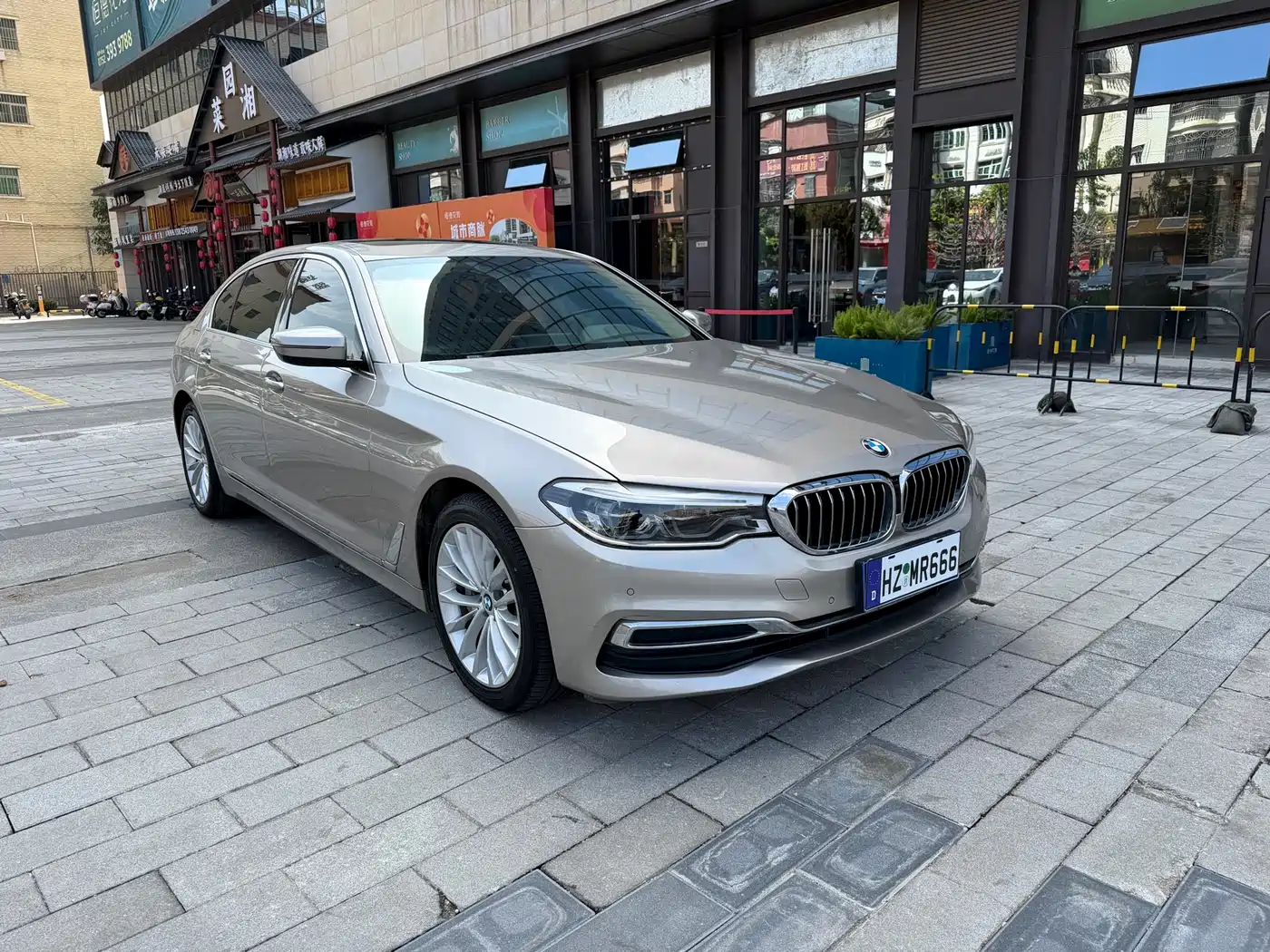 BMW 5 Series 2020 530Li Leading Luxury Package фото 3