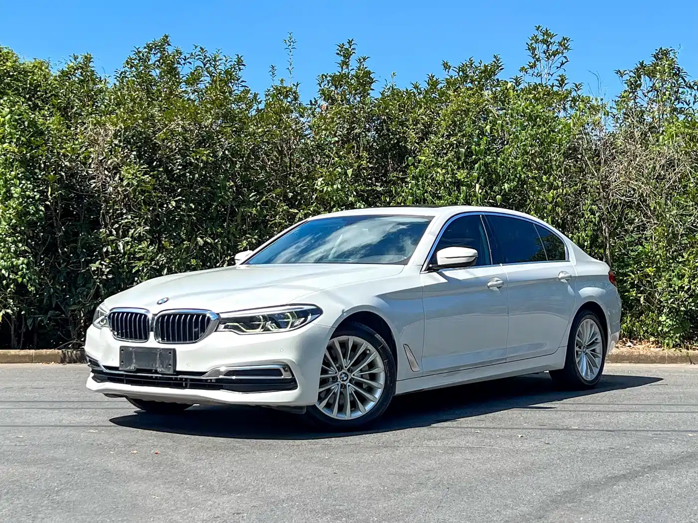 BMW 5 Series 2020 530Li Leading Luxury Package