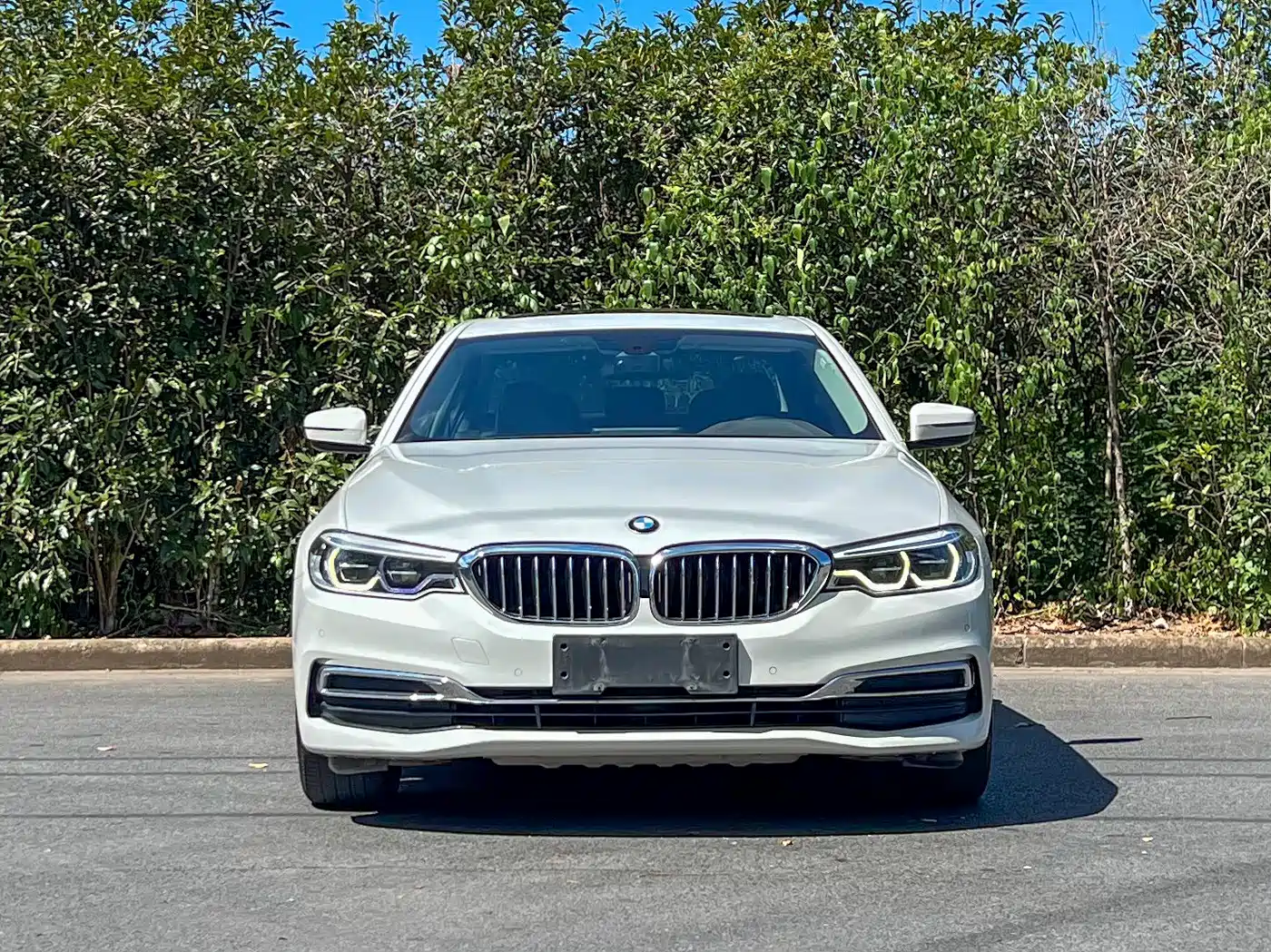 BMW 5 Series 2020 530Li Leading Luxury Package фото 2