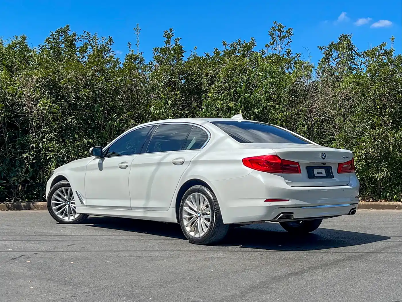 BMW 5 Series 2020 530Li Leading Luxury Package фото 5