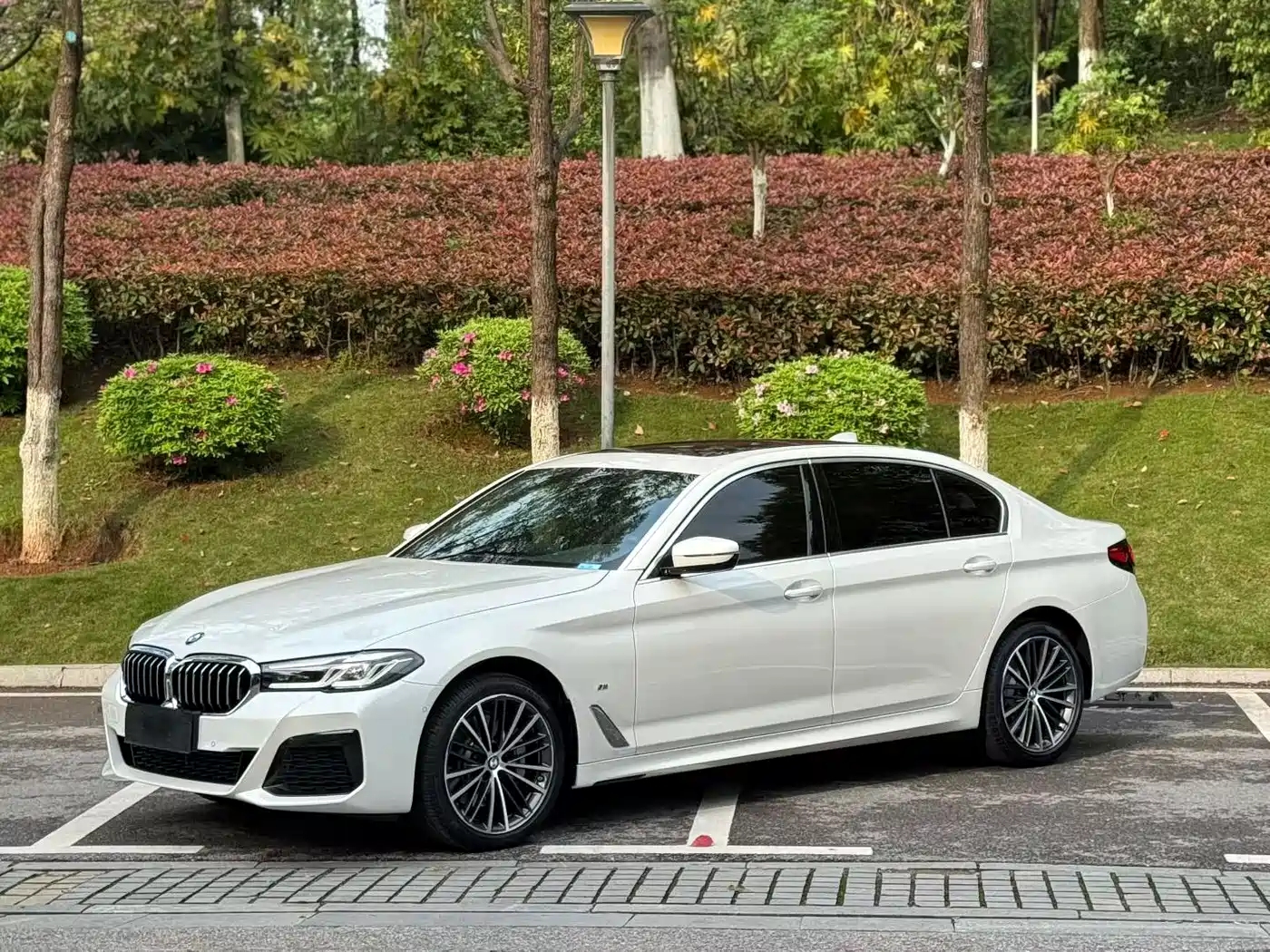BMW 5 SERIES