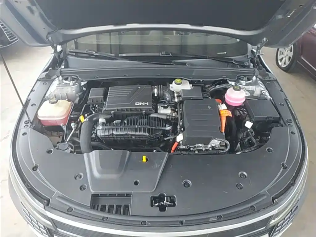 BYD Destroyer 05 2022 DM-i 55KM Luxury фото 16