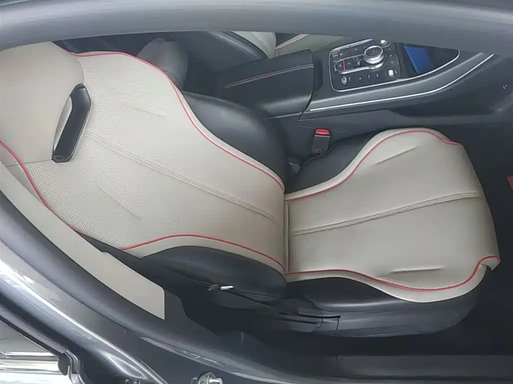 BYD Destroyer 05 2022 DM-i 55KM Luxury фото 20