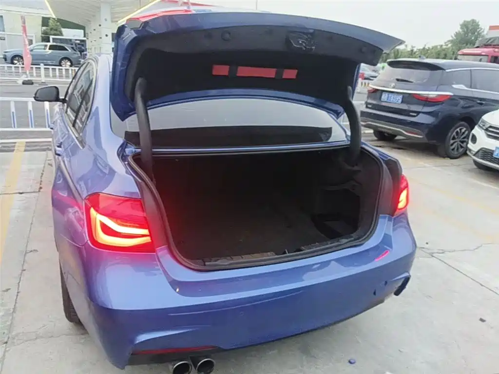 BMW 3 Series 2019 320Li M Sport Package фото 19