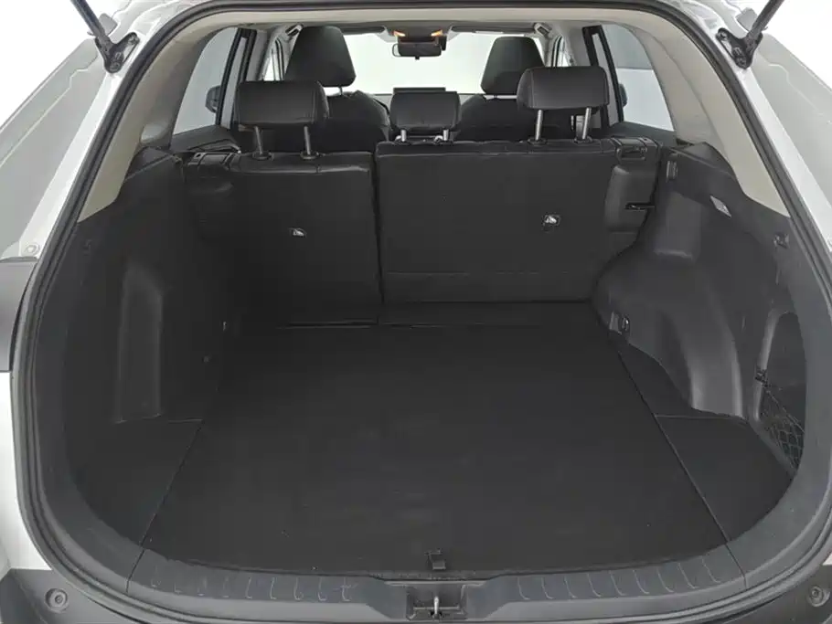 Toyota RAV4 Rongfang 2022 2.0L CVT 2WD Trend Plus Edition фото 4