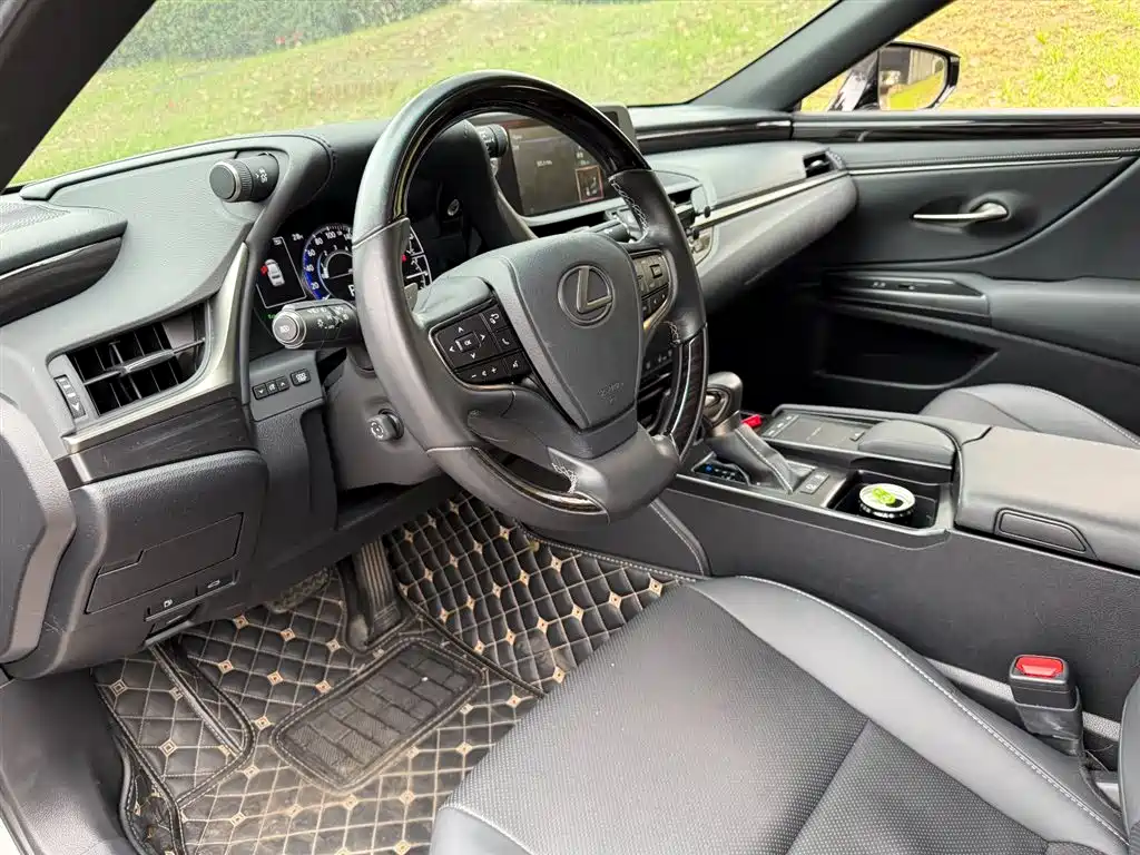 Lexus ES 2020 200 Luxury фото 7