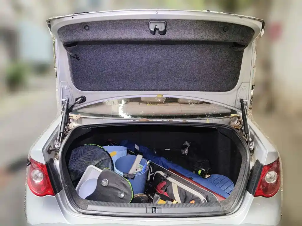 Photo 5 - Volkswagen Sagitar