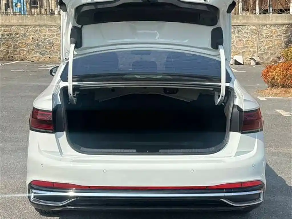 Volkswagen Sagitar 2023 280TSI DSG Surpass Plus Edition фото 6