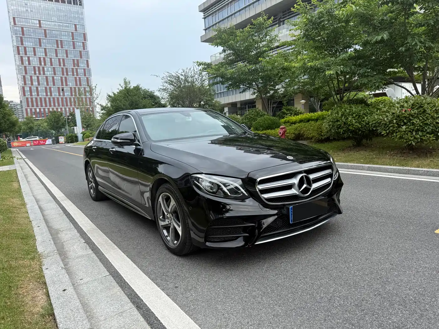 Mercedes-Benz E-Class 2019 E 300 L Sport Luxury фото 5