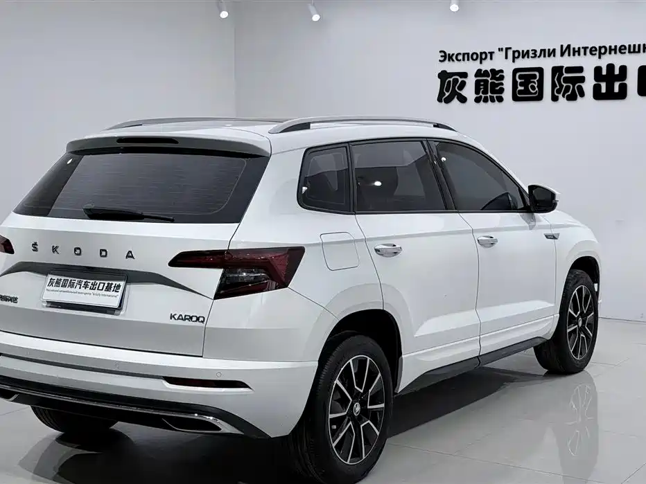 Škoda Karoq 2023 TSI280 Premium Edition фото 4