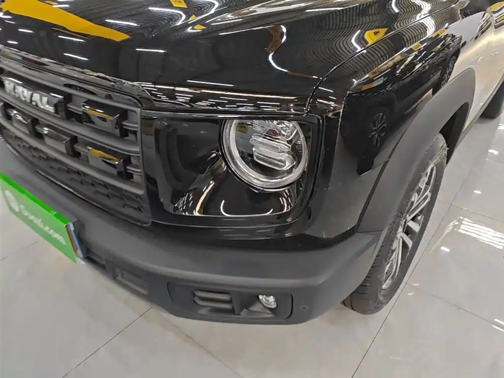 Haval Big Dog 2026 Model 1.5T High Configuration фото 24