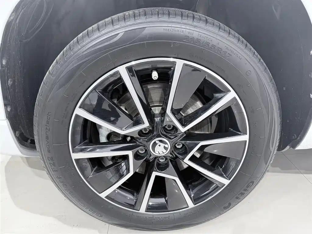 Škoda Karoq 2023 TSI280 Premium Edition фото 16