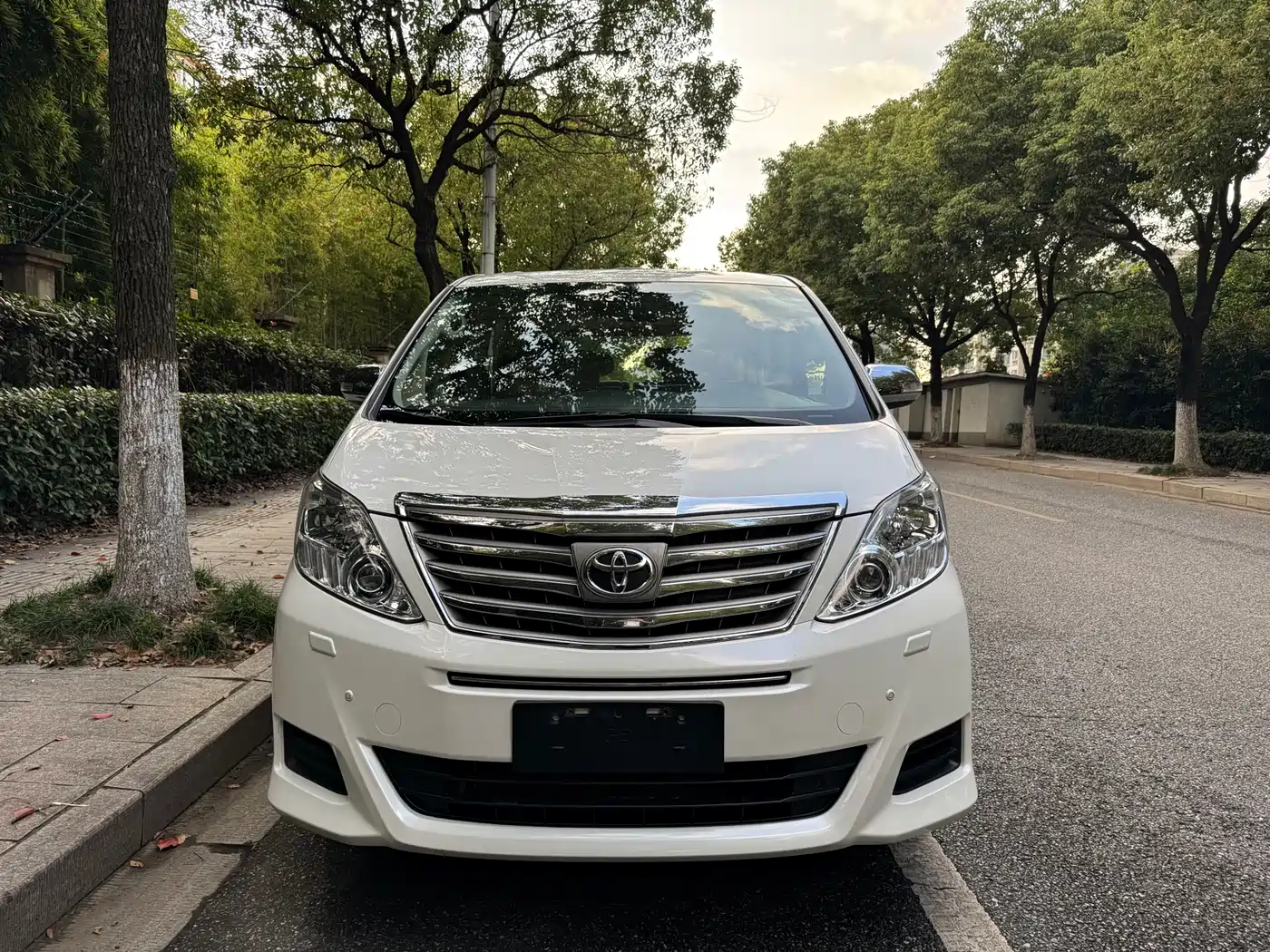 Toyota Alphard фото 2