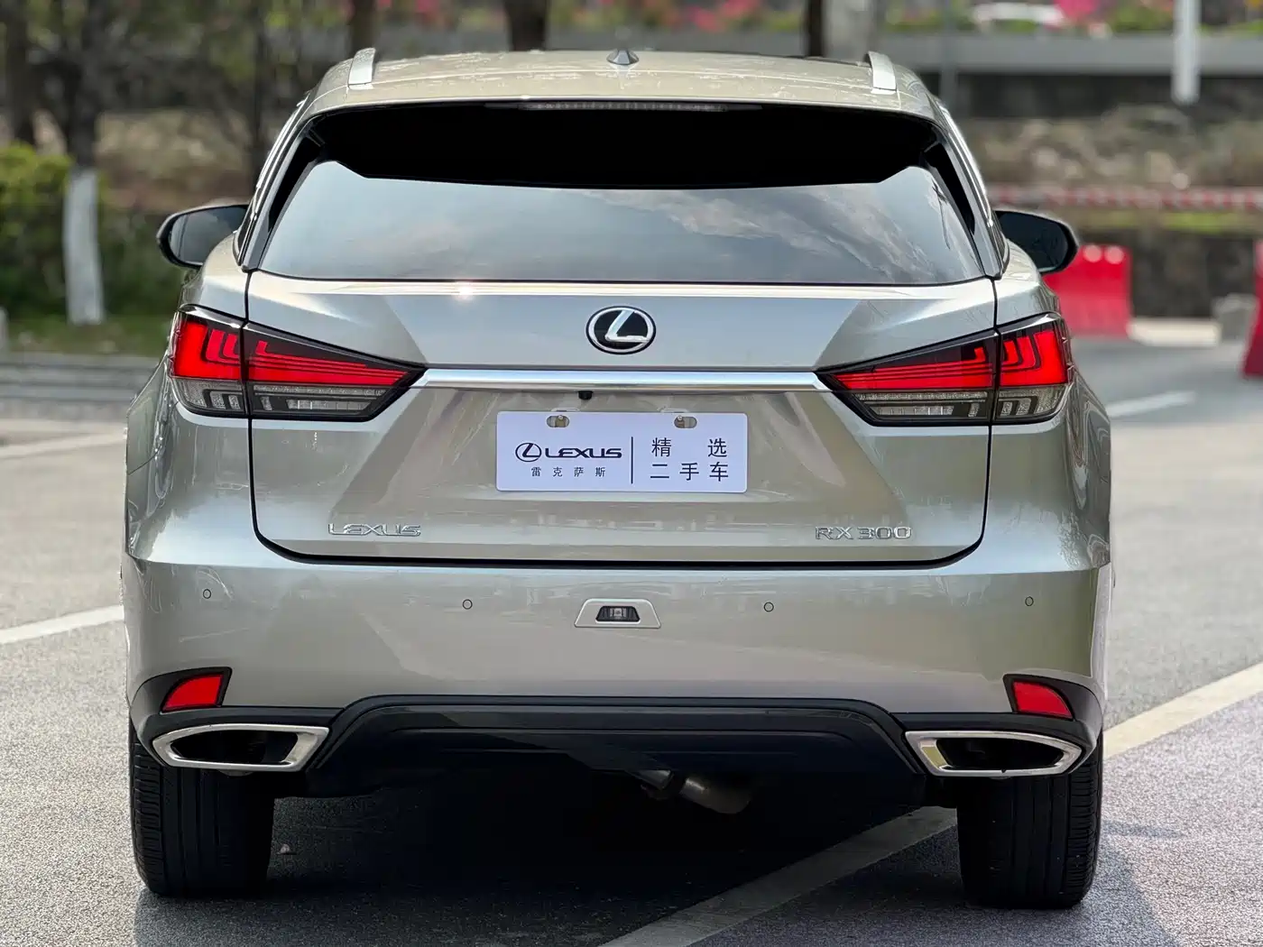 LEXUS RX