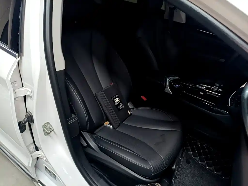 Geely Borui PHEV 2021 2021 1.5T ePro Leading Edition