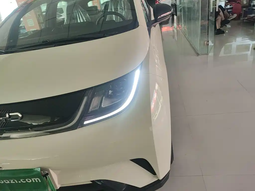 BYD Dolphin 2026 2025 420km Freedom Edition