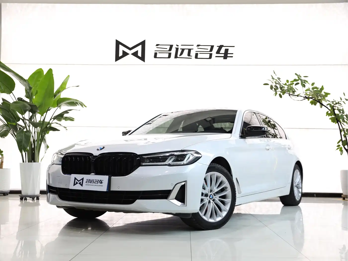 BMW 5 Series 2022 525Li Luxury Package