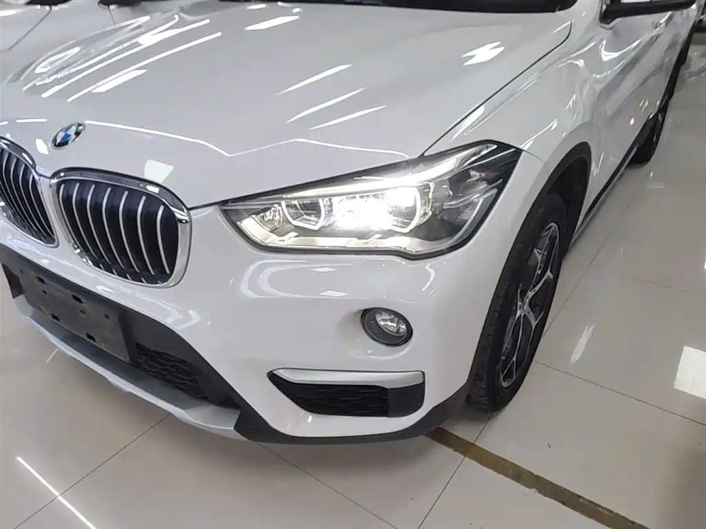 BMW X1 2019 xDrive20Li Premium Model фото 24