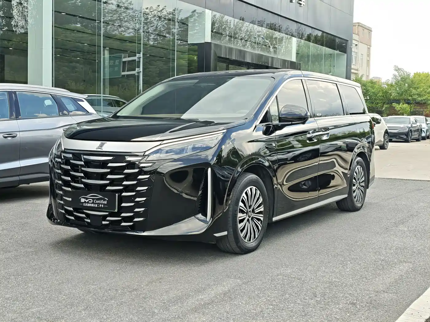 2025 BYD Xia