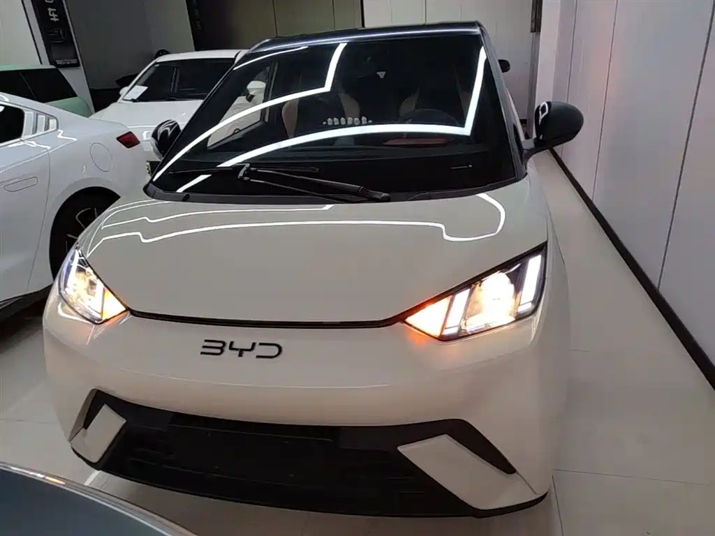 BYD Seagull 2024 Glory Edition 305km Vitality Edition фото 3
