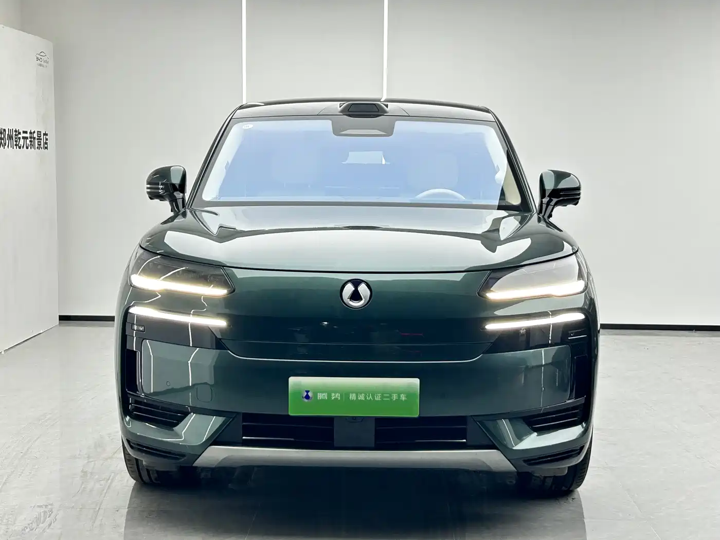 2026 Denza N9