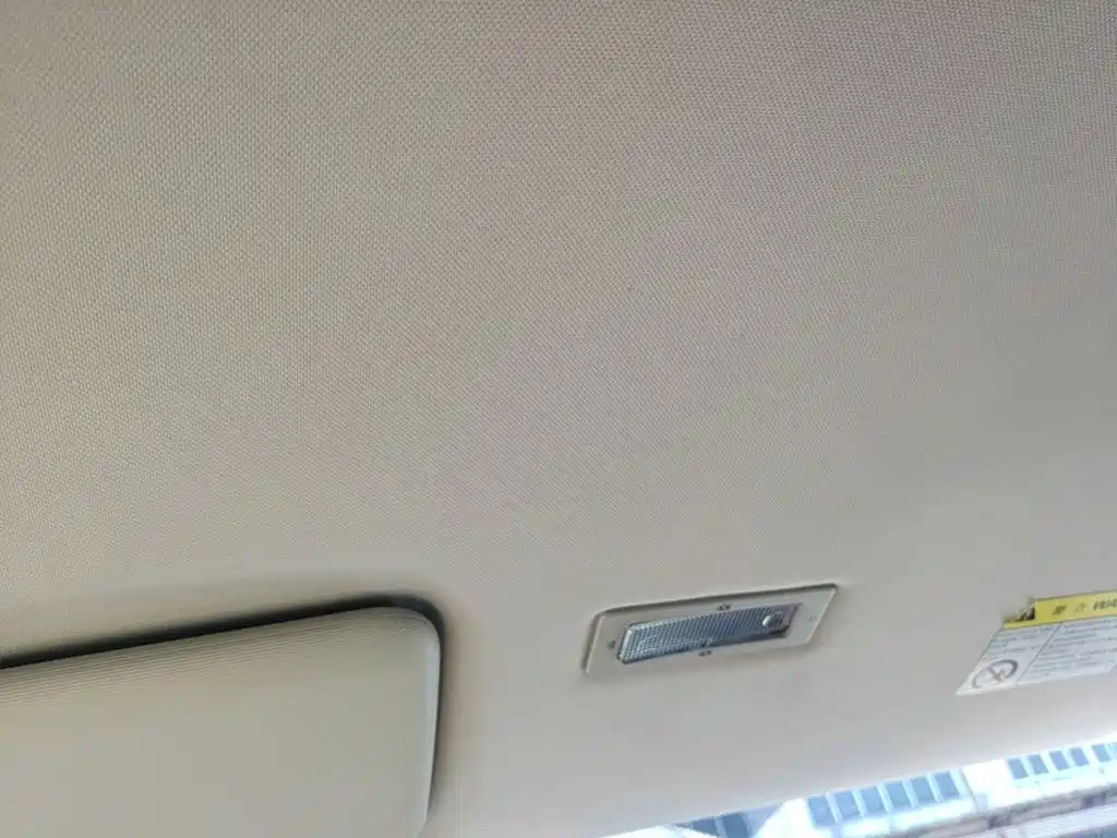 Roewe Clever 2023 2022 311km Vitality Bobo Edition