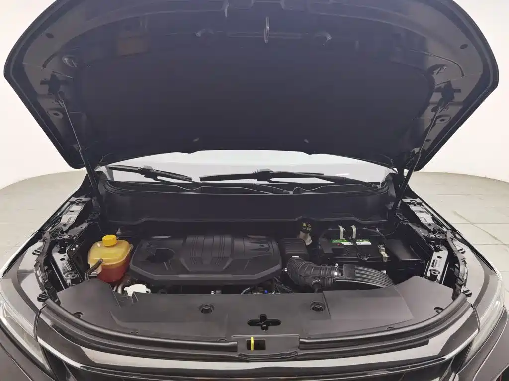 Dongfeng Fengguang Fengguang 580 2022 2022 1.5T Auto Luxury Enjoyment Model