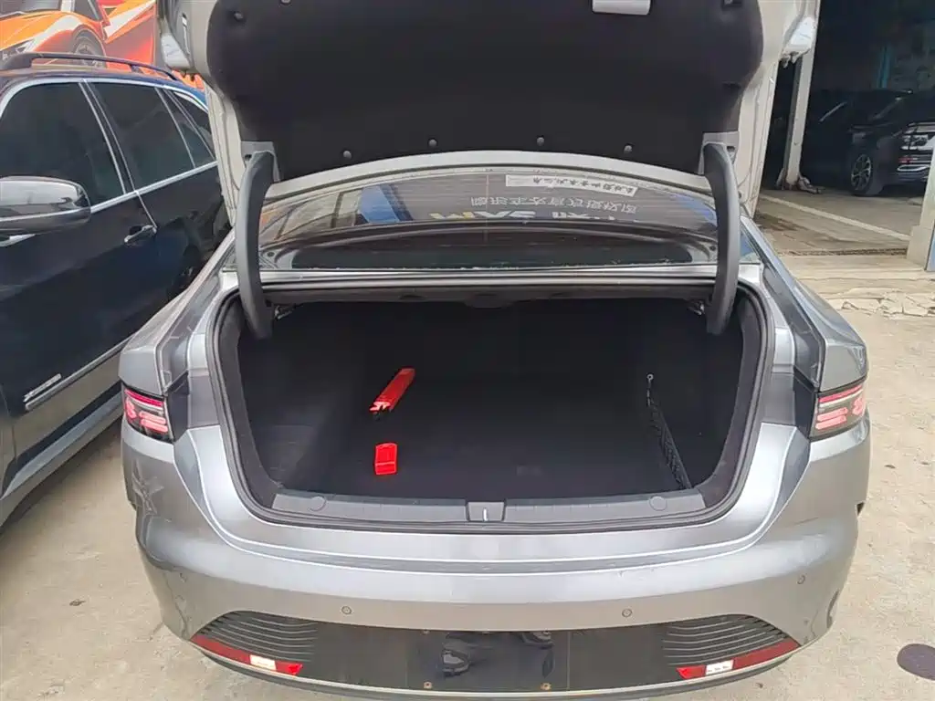 BYD Destroyer 05 2023 Champion Edition DM-i 55KM Luxury фото 19