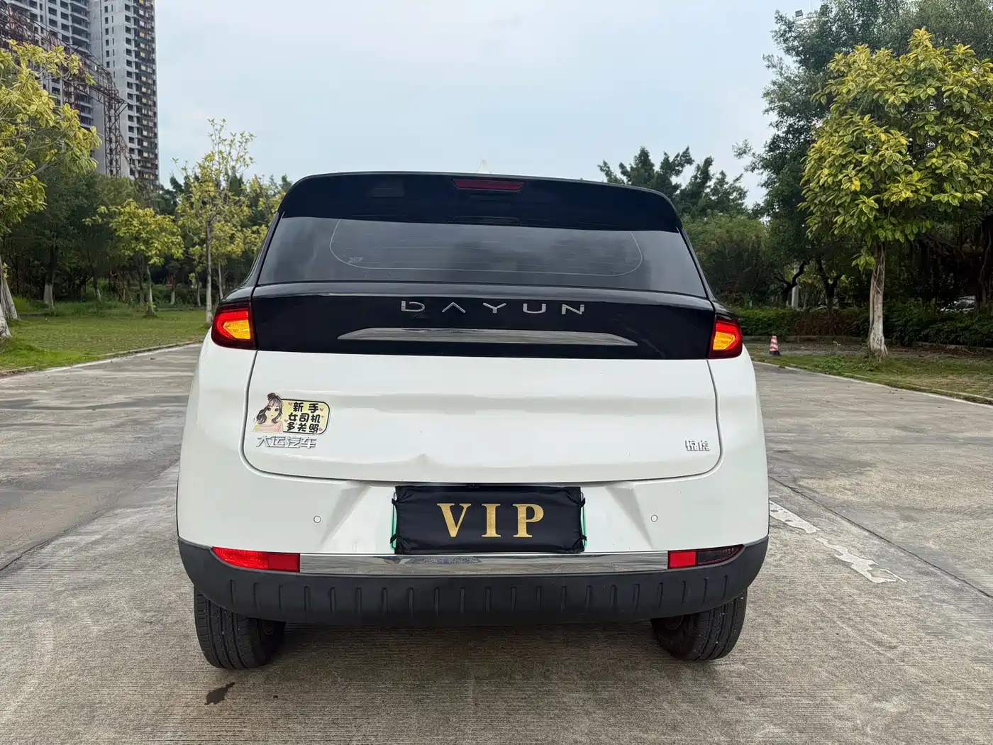 Dayun Yuehu 2022 2022 300 VIP Edition